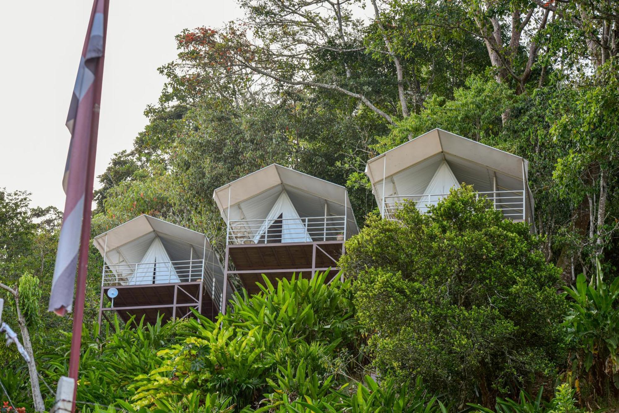 Pacuar Quimera Glamping מראה חיצוני תמונה